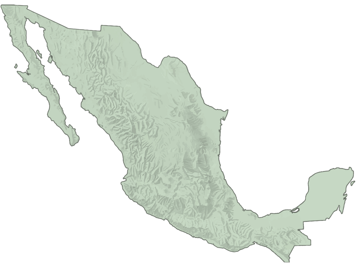 Mexican Bird Resurvey Project